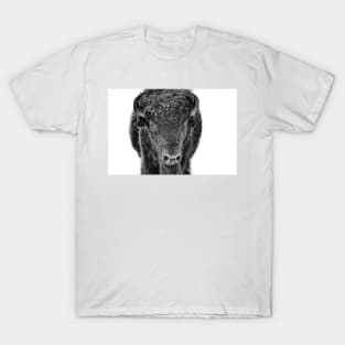 Bison Black And White photograph T-Shirt